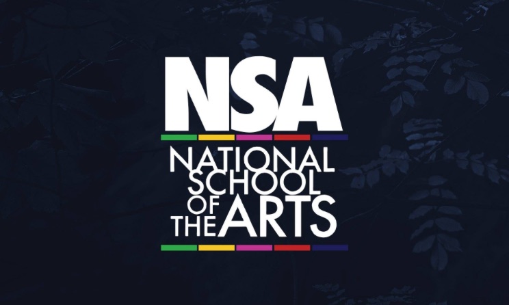 Call For Auditions National School Of The Arts 2024 Intake In SA   Nsa 