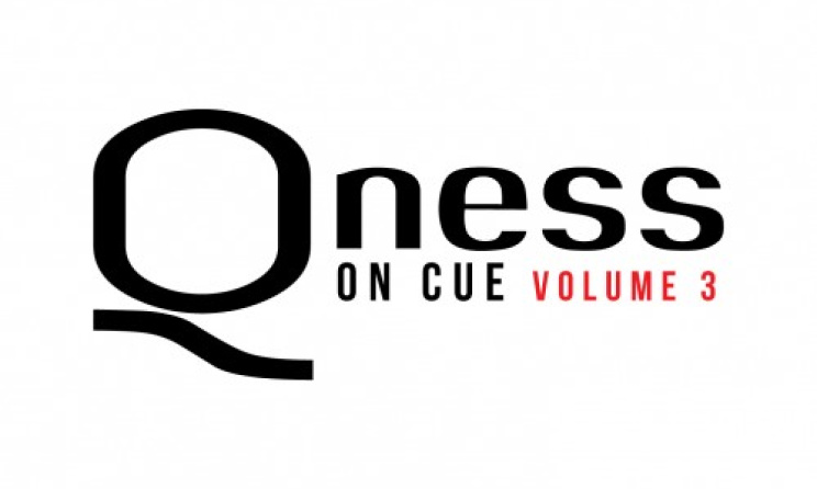 DJ Qness - On Cue Volume 3  