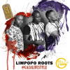 Portrait de Limpopo Roots