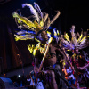 Portrait de Bomas Harambee Dancers