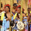 Back to Africa Festival's picture