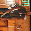 Muiruri_pi's picture