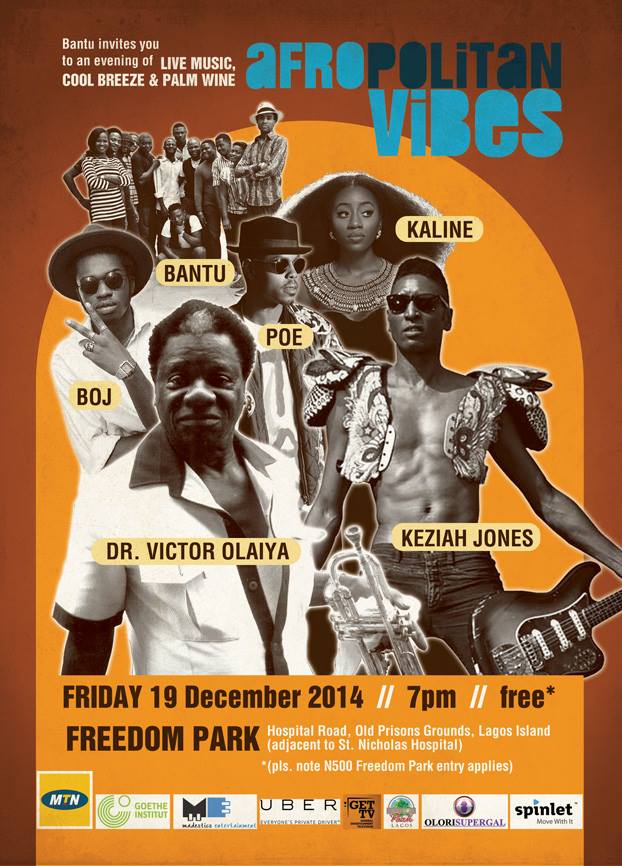 Afropolitan Vibes December 2014 flyer