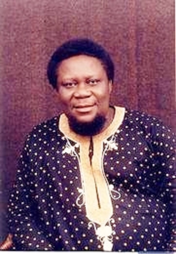 Tony Ibegbuna. Image source: Tony Ibegbuna Jr