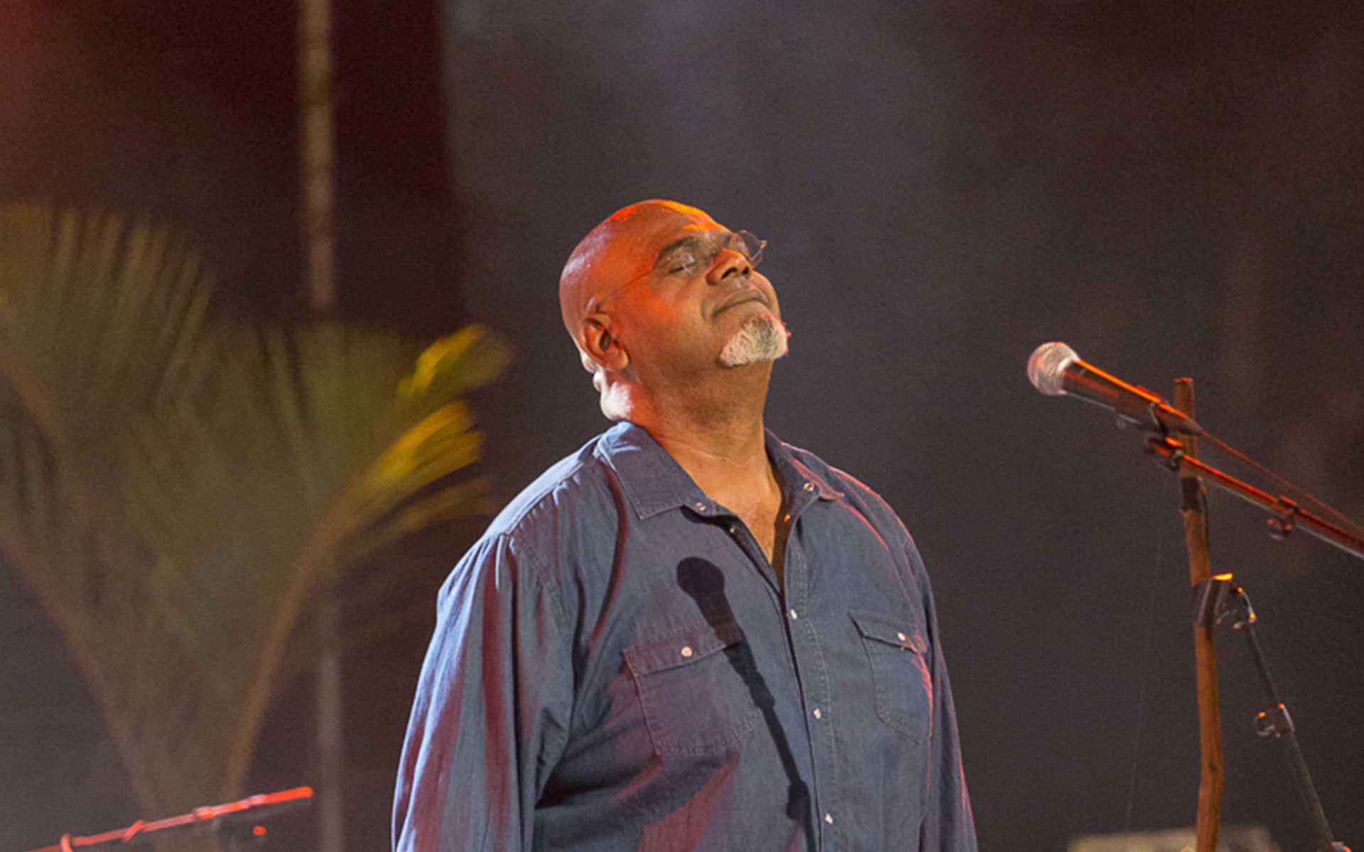 Tiloun, l'artiste musicien de l'île de la Réunion est programmé au Sakifo Musik Festival 2015. (ph)Sakifo.com