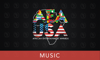 African Entertainment Awards (USA)