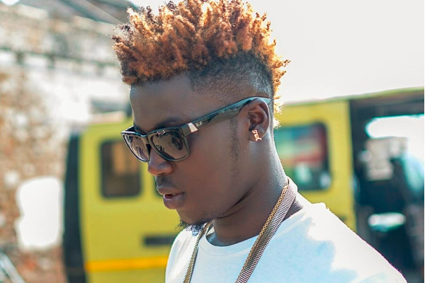 Wisa Greid