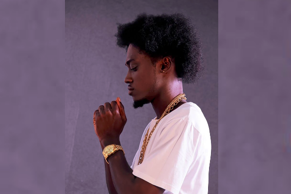 Vybrant Faya