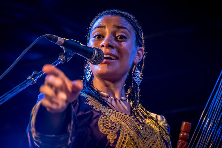 Gambia's Sona Jobarteh. Photo: www.dublintown.ie