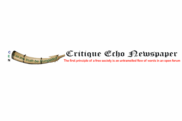 Critique Echo Newspaper