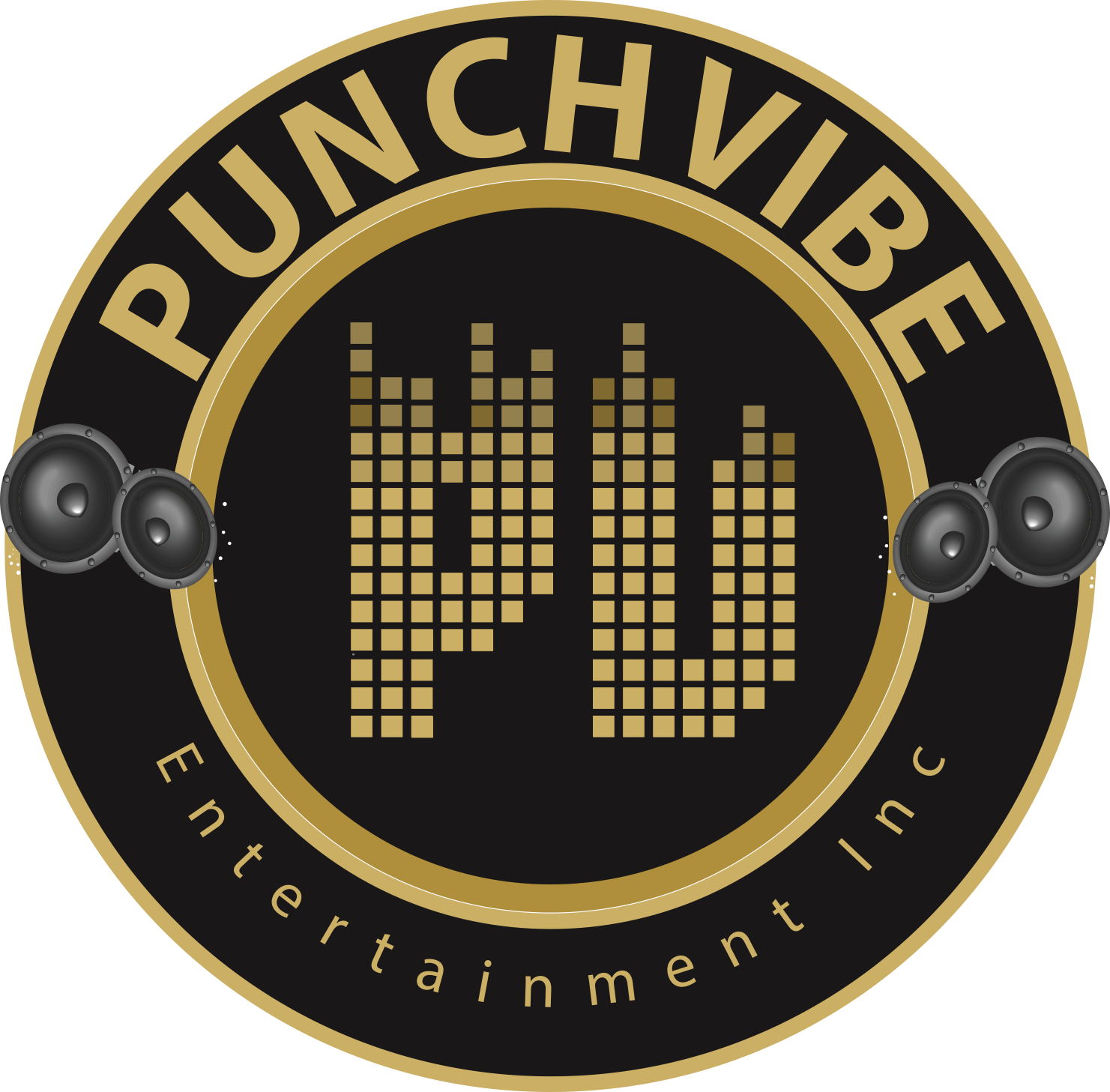 PunchVibe Entertainment