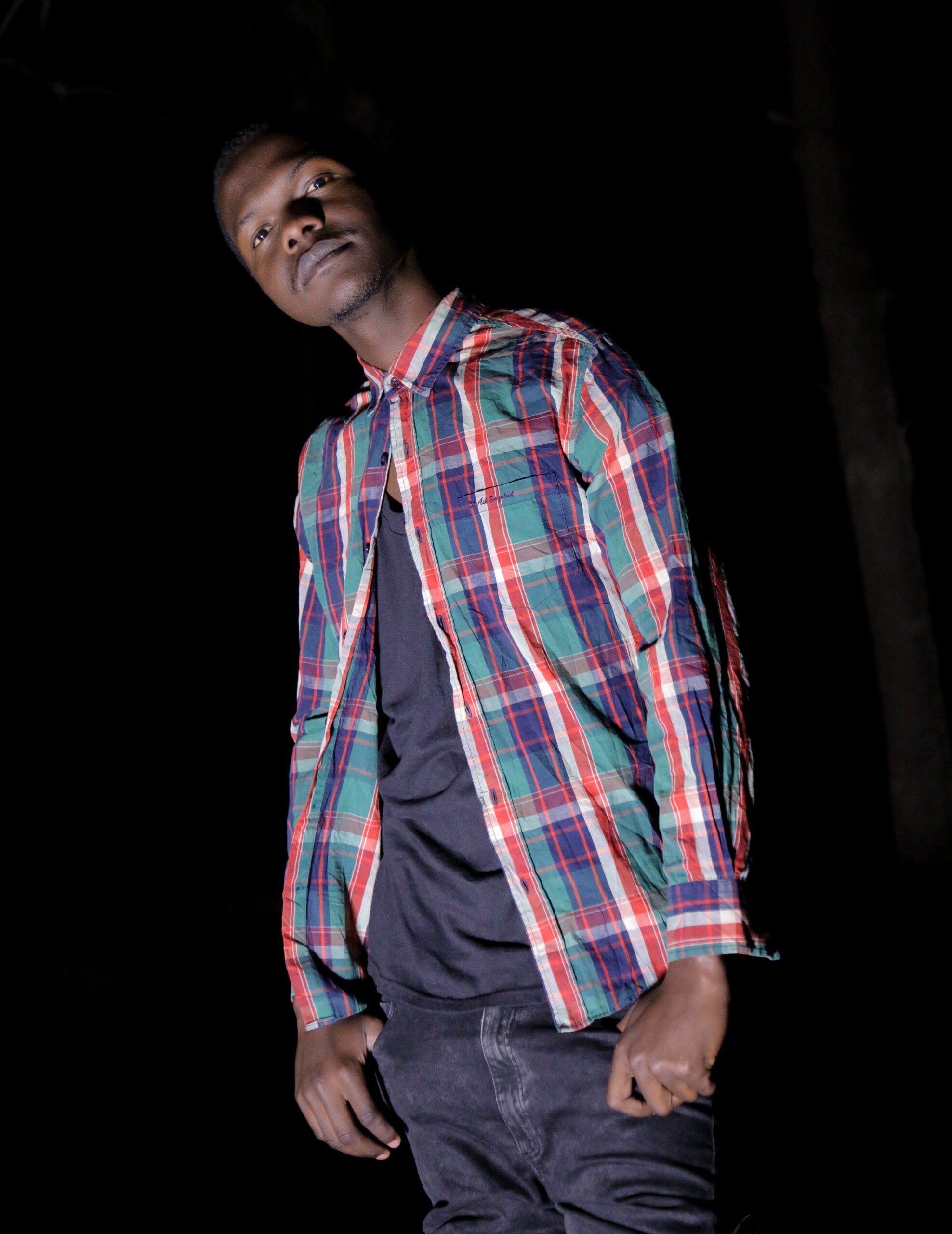 Dibo Dry