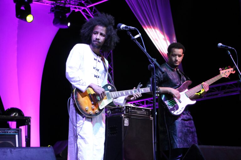 Le groupe malien Tamikrest en concert (Photo) : Kalin Pashaliev