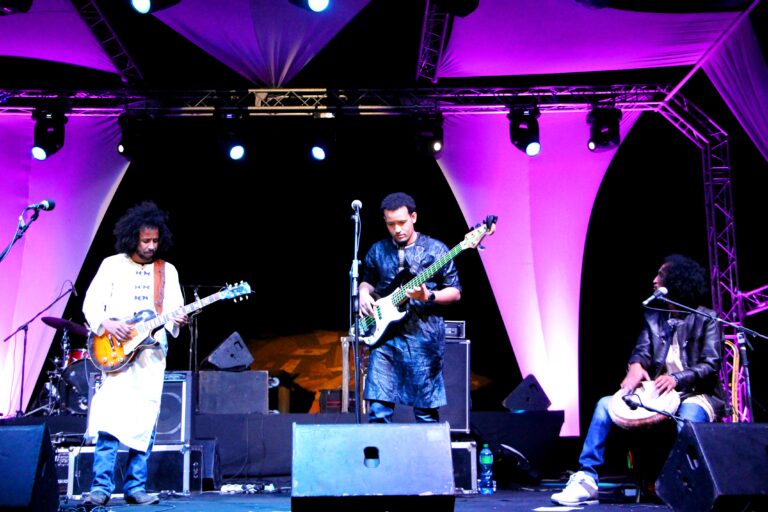 Tamikrest sur scène (Photo) : Thomas Ayissi