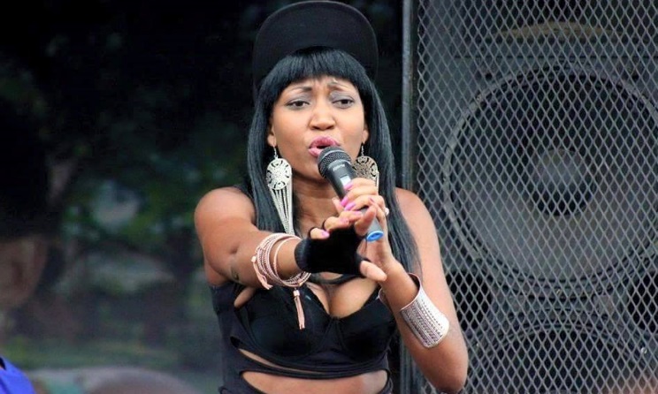 Slizer is among the artists who will be performing at the Carnival Music Festival.