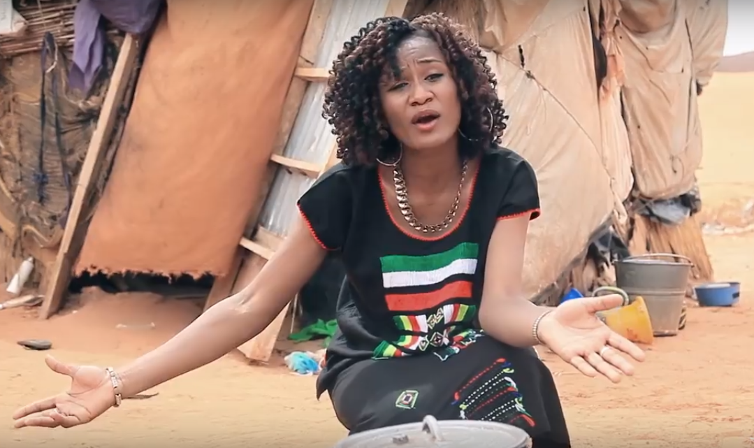 L'activisme musical au Niger (Photo) : capture d'écran.