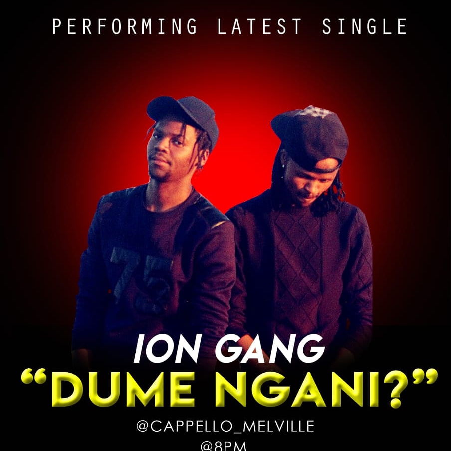 Ion Gang