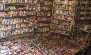 Thème du mois de novembre 2019 : Droits d’auteur, redevances et piraterie en Afrique
