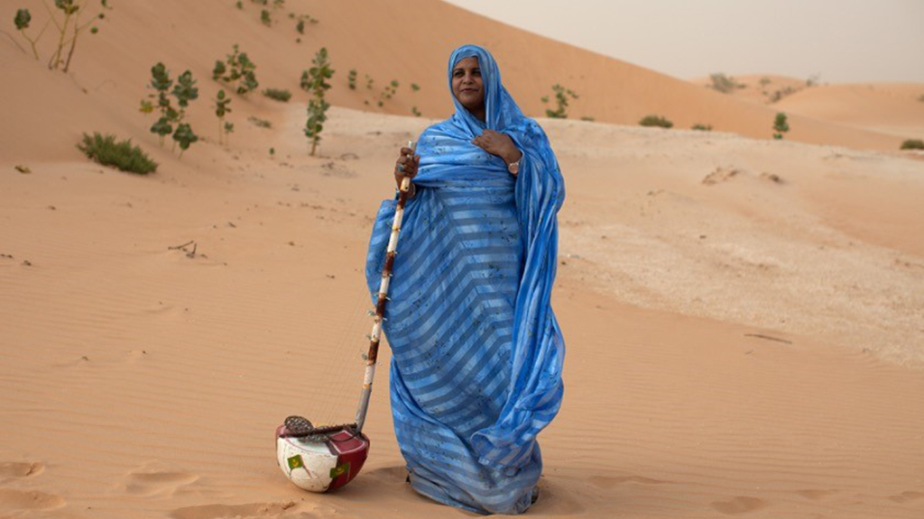 La chanteuse mauritanienne Noura Mint Seymali (Photo) : musique.rfi.fr