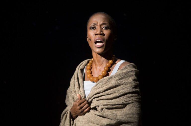 Rokia Traoré sur scène (Photo) : la-croix.com