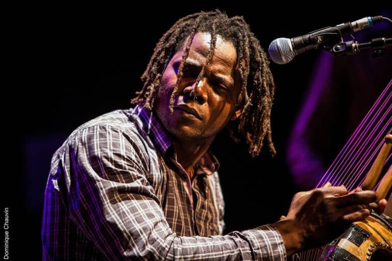 L'artiste burkinabé Simon Winsé sur scène (Photo) : Dominique Chauvin