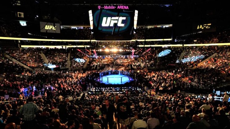 Ultimate Fighting Championship's music streaming app seeks to bring UFC athletes closer to their fans.