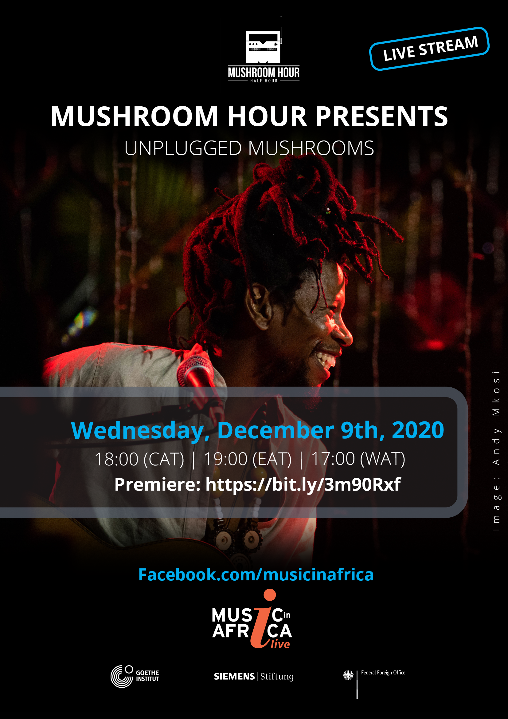 copyofunpluggedmushrooms