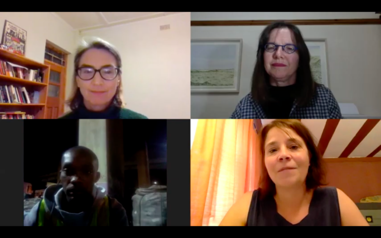 A screen grab from a previous Sustainable Together webinar hosted by Goethe-Institut South Africa in July 2020.