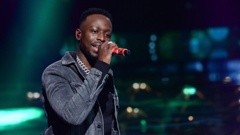 Dadju sur scène (Photo) : lanouvellegazette.sudinfo.be