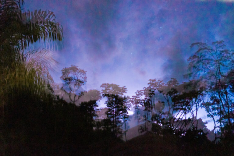 The programme is a cultural and artistic response to environmental change. Photo: Misha Vallejo