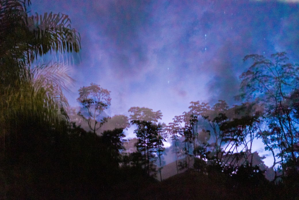 The programme is a cultural and artistic response to environmental change. Photo: Misha Vallejo