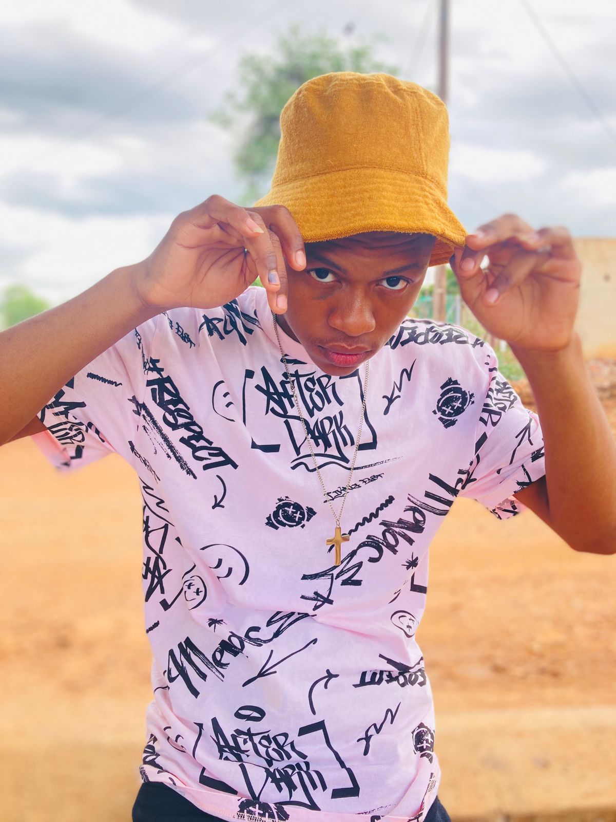 NBK the Lion King