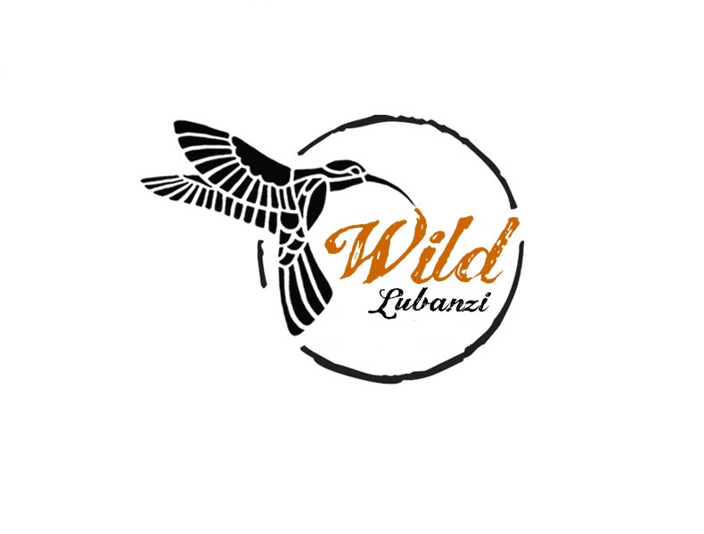 Wild Lubanzi EcoArt Village