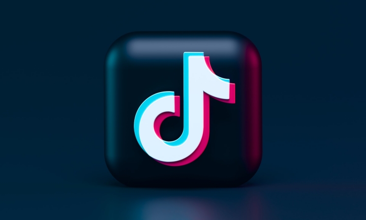 TikTok has, in a sense, turned the function of music on its head, says the author.