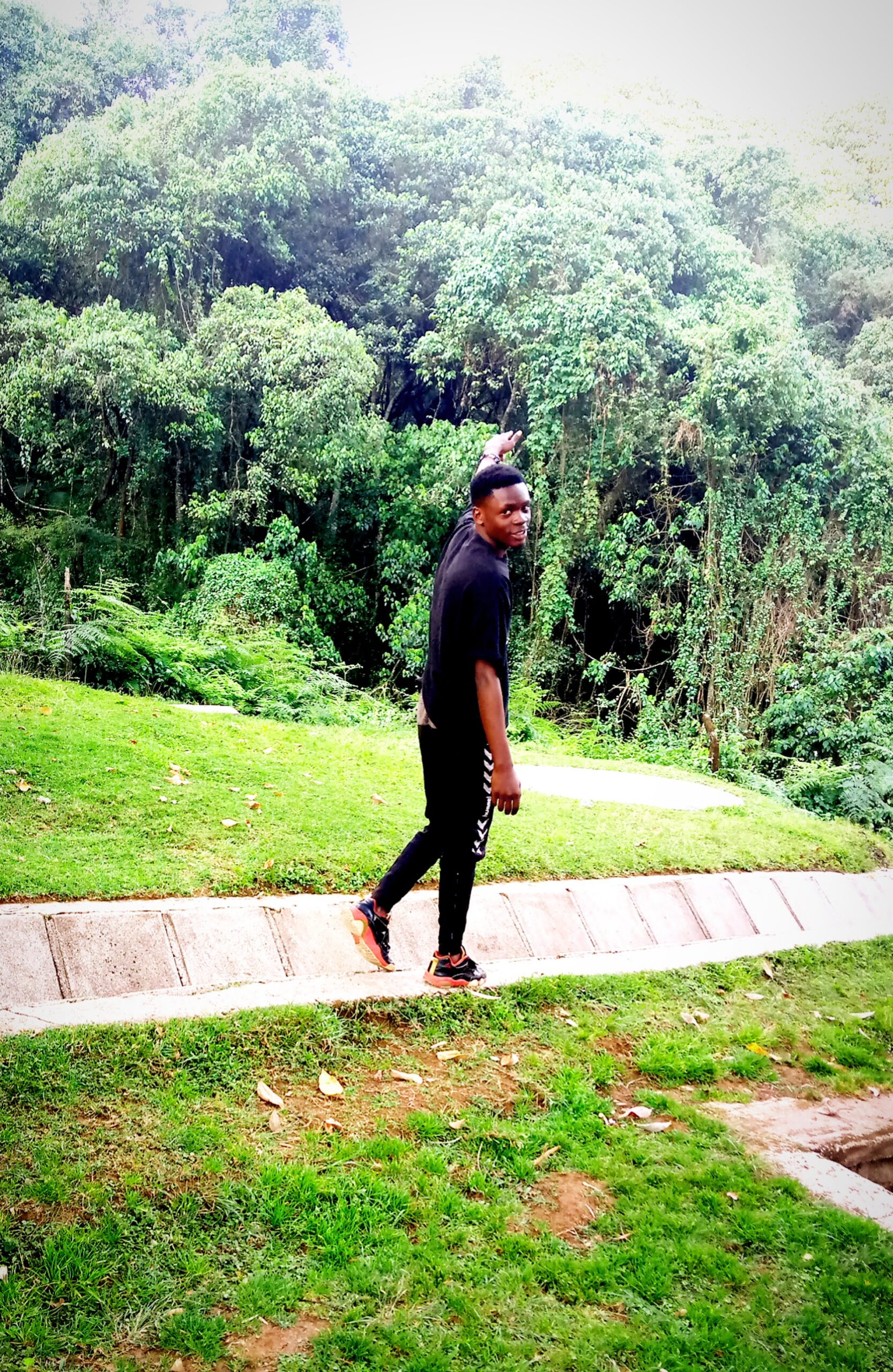 Shayvan tz