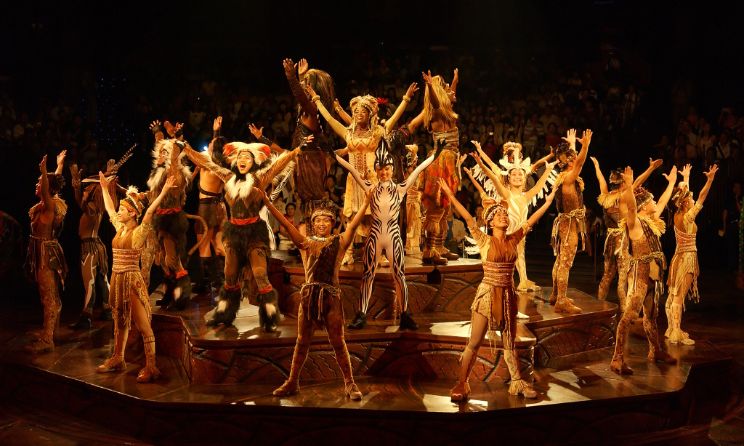 The auditions will be held in Durban and Johannesburg. Photo: Disneyland