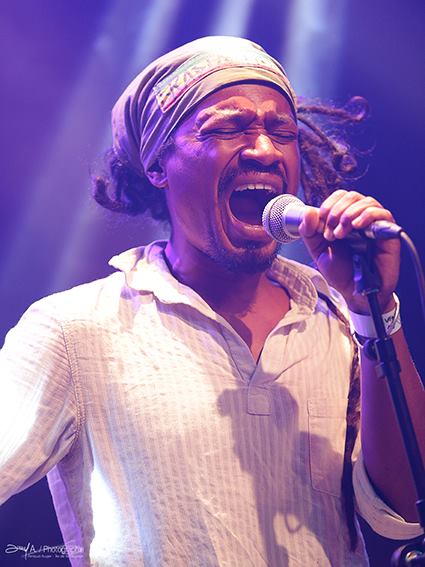 Dago Roots
