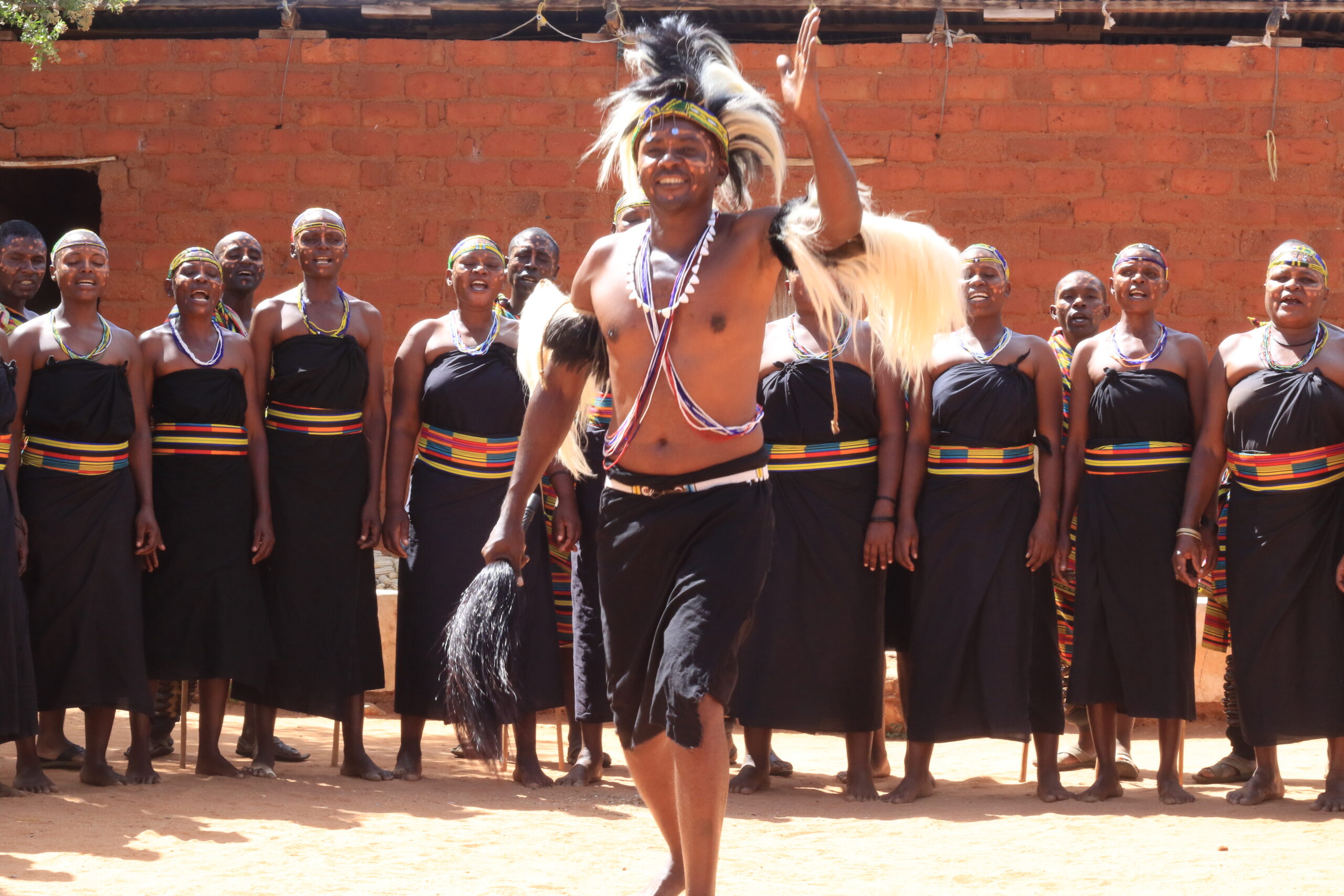 Nyati Mchoya