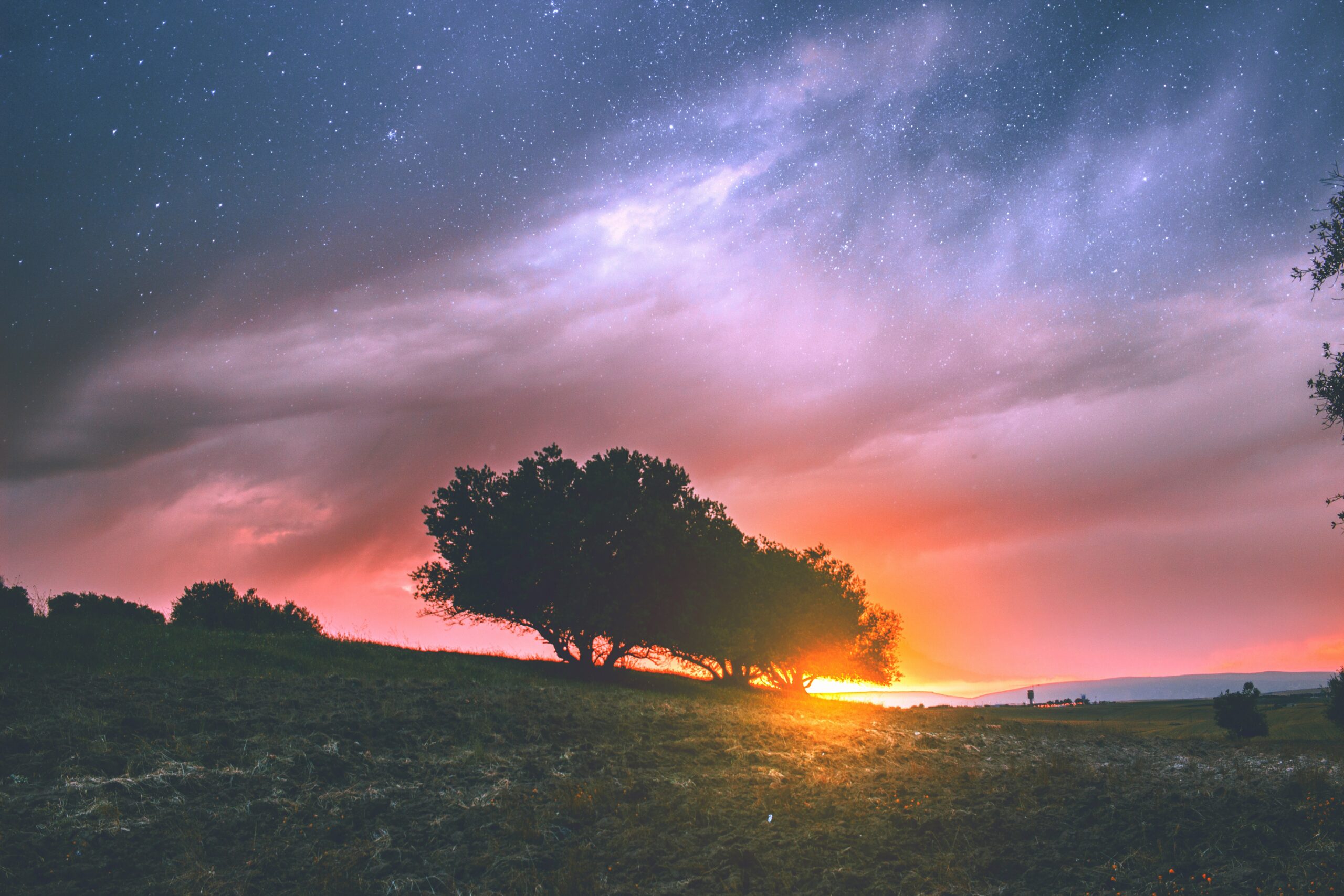 zenad-nabil-jenlxmcd96y-unsplash