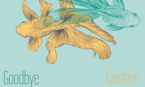 Review: M. Rumbi’s Goodbye Goldfish