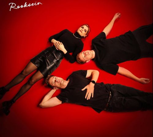Rooksein