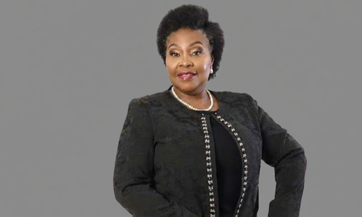 Veteran musician Yvonne Chaka Chaka is among the board members.